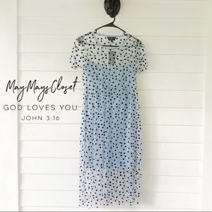 Wednesday’s Girl Polka Dot Tulle Sheer Blue Black Dress Small